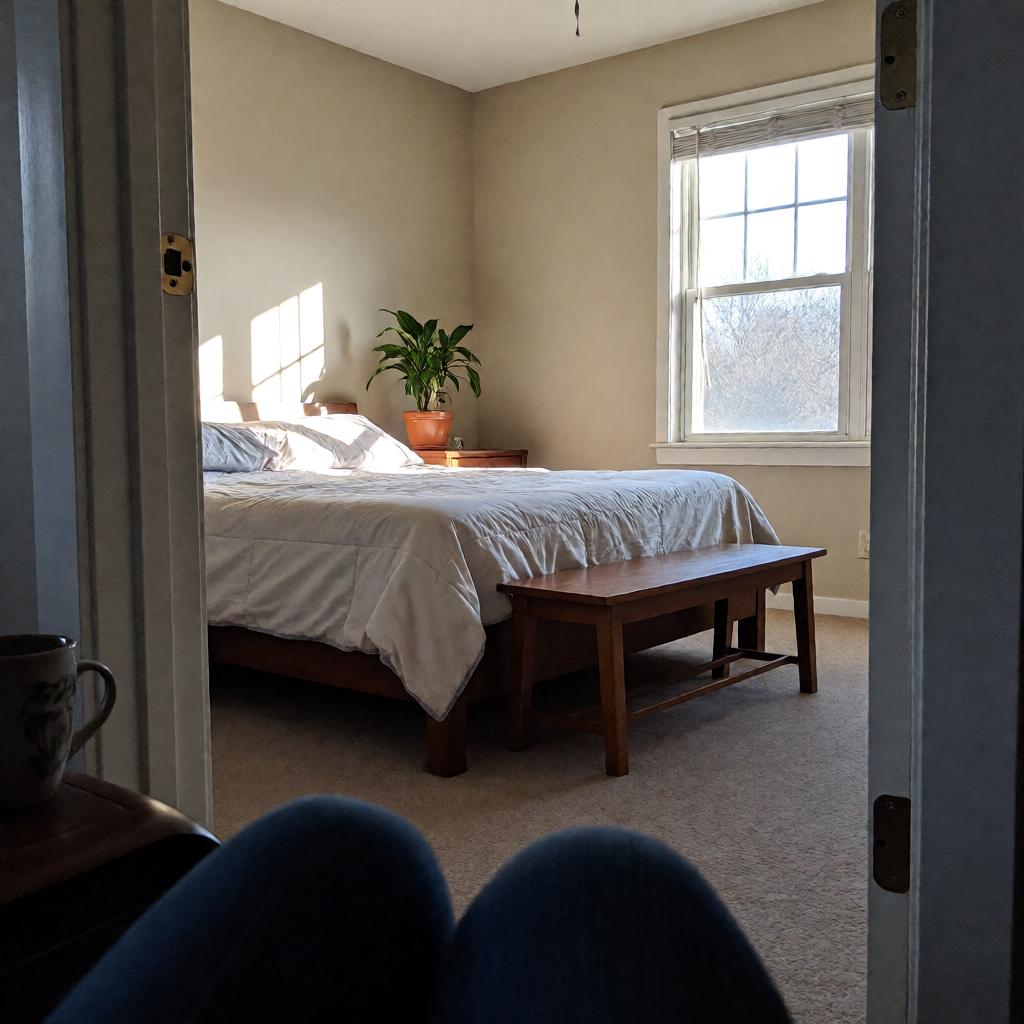 Real estate photo of a bedroom, taken from the doorway. A bed is angled toward a window on the right, with a wooden bench at its foot. A potted plant sits on a nightstand against the wall, and the floor is empty with no clutter. Natural light comes through the window, slightly overexposed, and the shot is slightly angled as if taken on a phone.