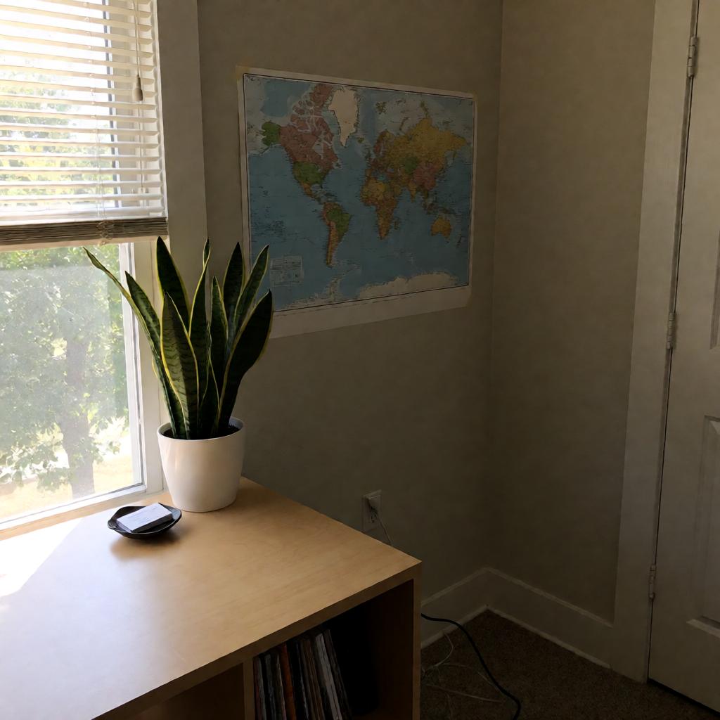 A slightly off-level smartphone photo of a home office corner: a light wood desk with a snake plant and a small dish of business cards, a world map poster taped to the wall, natural light from a window on the left, and a power cord visible on the floor.